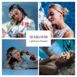 Seabloom — Preset Quad